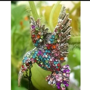 Crystal Hummingbird Necklace Brooch adjustable